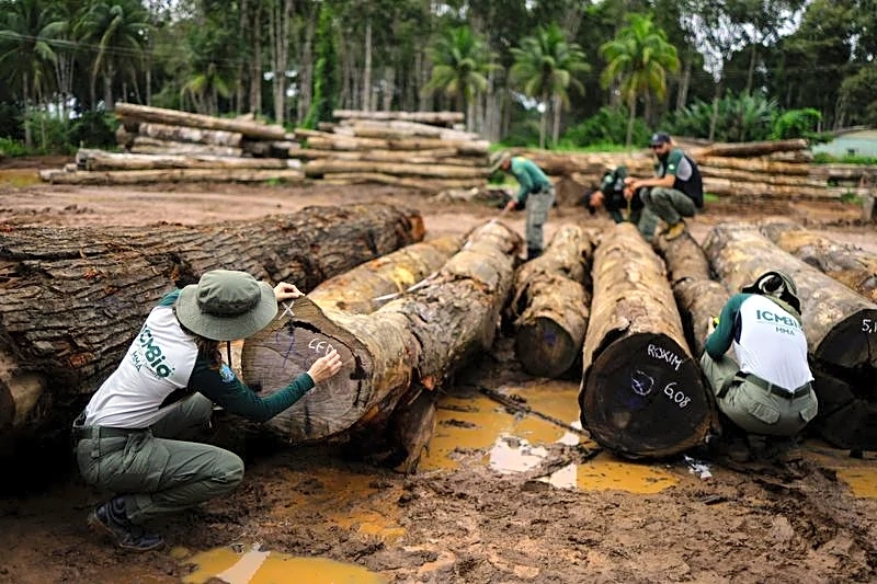 World faces nature reality check at UN biodiversity conference