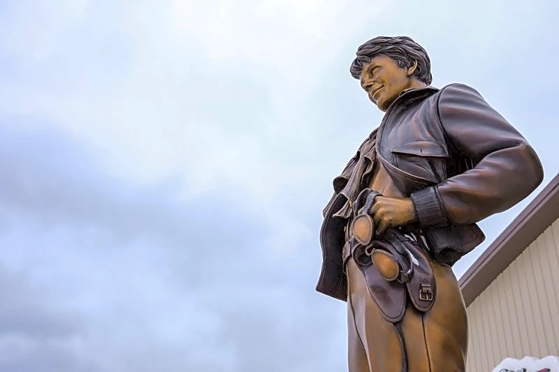 In search for Amelia Earhart's plane, tantalizing clue turns out to be tree debris