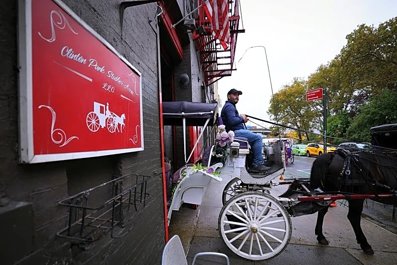 After generations in Central Park, horse-drawn carriages face a ban