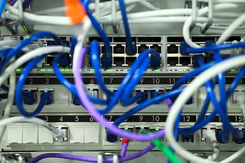 Government websites go dark after AI-discovered flaw sparks security scramble