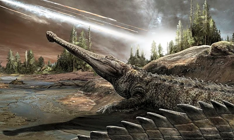 An affinity for warm climes has helped crocs thrive for eons