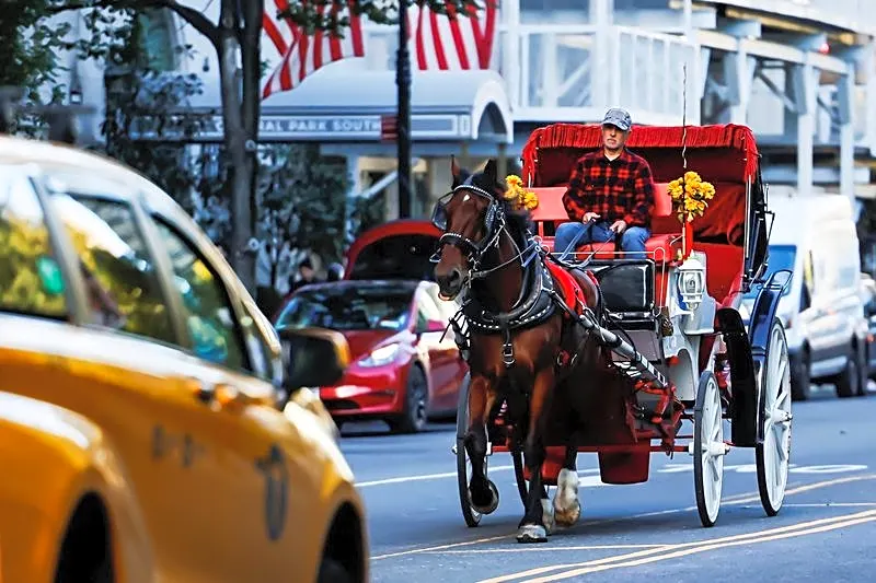 New York City bans horse-drawn carriages from June 2028