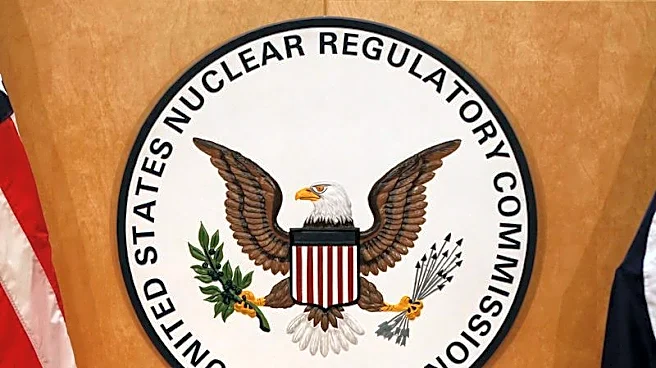 US nuclear power regulator allows applicants to include data from agency projects