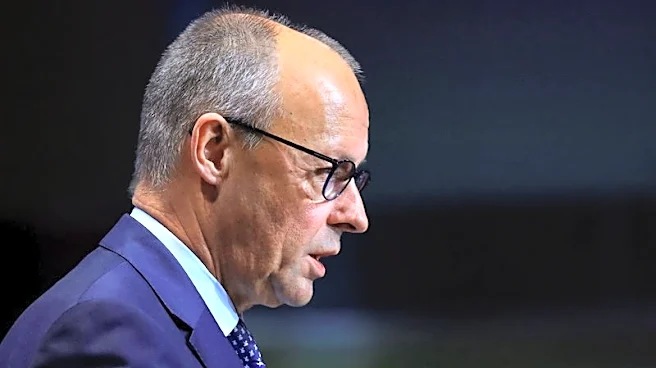 Germany's Merz: Russia, US cannot settle Ukraine war without Kyiv, Europe