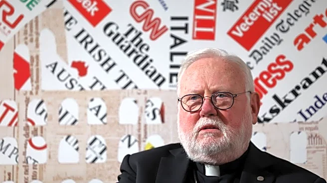 Pope's cancer is a 'gamechanger' for papacy, Vatican foreign minister says