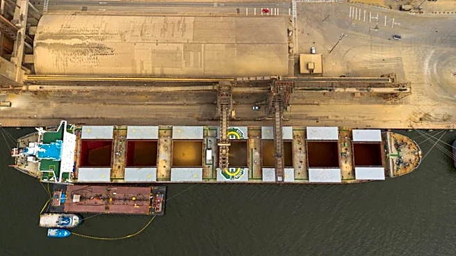Argentina sees EU soymeal opportunity as deforestation rules threaten Brazil trade