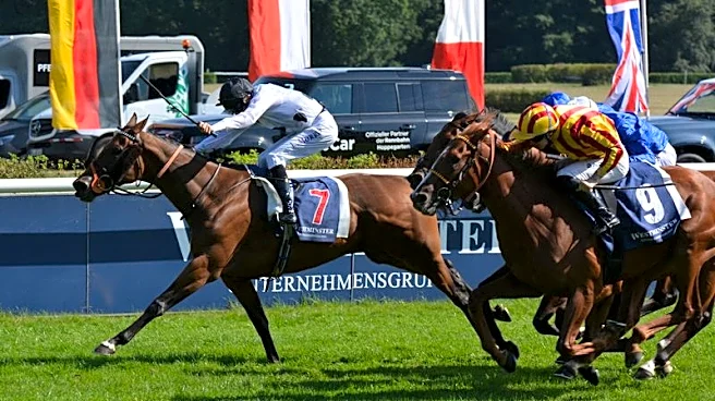 Horse racing-Ex-balloon worker buoyed up for Tiffany's Breeders' Cup swansong