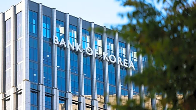 Exclusive-Bank of Korea board member says won moves faster than expected