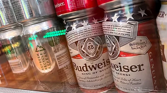 Budweiser brewer AB InBev hits Q3 profit forecast, but costs on the rise