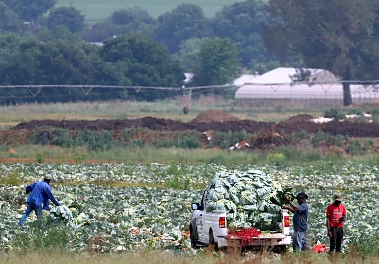 South African economy 5% bigger after rebasing, moving further ahead of Nigeria