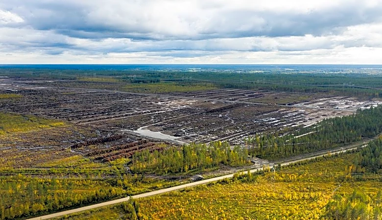 Finland launches criminal probe into land clearance for Google data centre