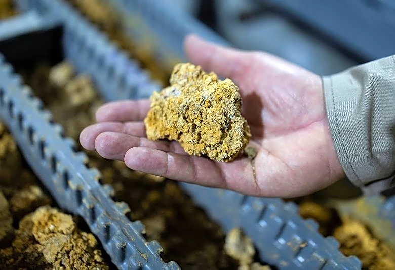 Analysis-Soy, rare earths and fuels: how Brazil vote impacts the global flow of resources