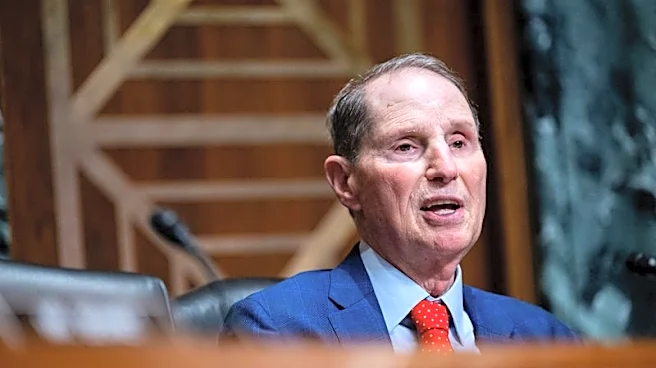Private equity, data centers in crosshairs of US Senate Democrats, aide says