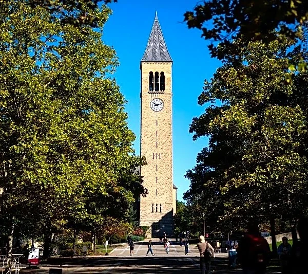 New York state police to take over sexual assault complaints at Cornell University
