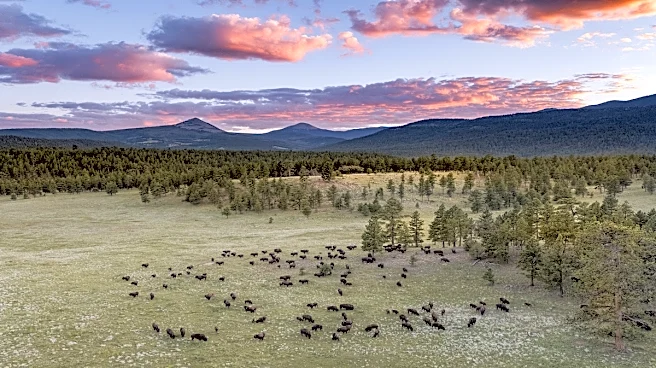 Meet the Billionaires Laying Out Millions to Rewild the Planet