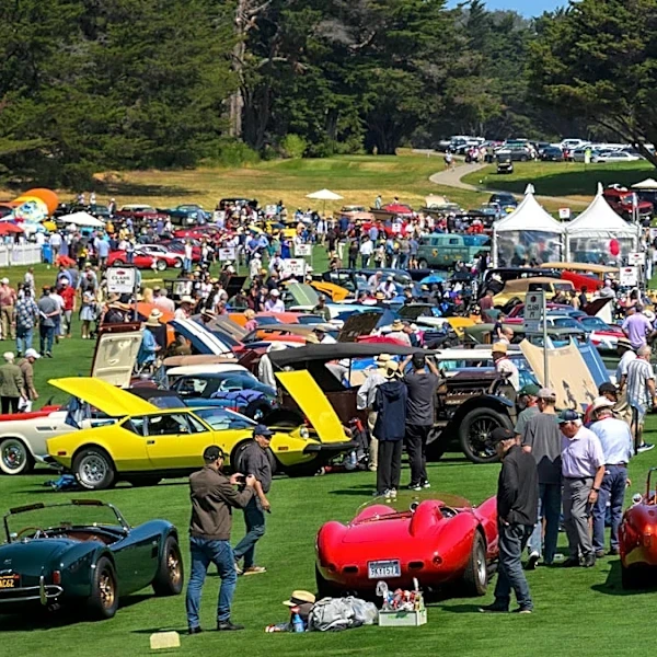 A Preview of the Hillsborough Concours in Photos
