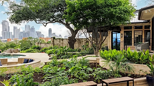 The Cater View Estate in Photos
