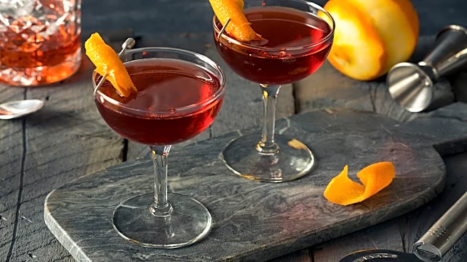 How to Make a Mane of Needles, the Rye Whiskey Negroni With a Prickly Edge