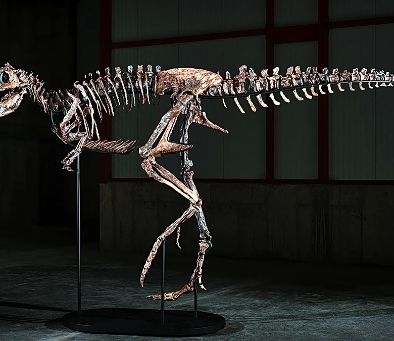 This Ultra-Rare Nanotyrannus Fossil Could Fetch $9 Million at Auction