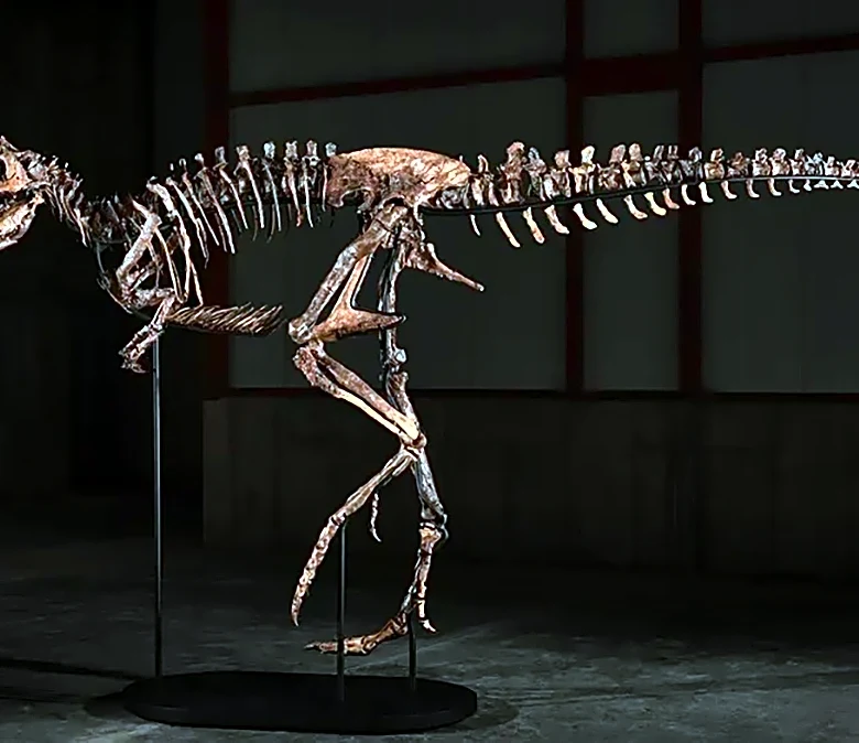 An Ultra-Rare Dinosaur Fossil Named ‘Jodi’ Sells for $47.3 Million at Auction