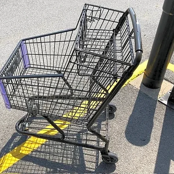 Wegmans testing new shopping carts at 2 stores: What's new