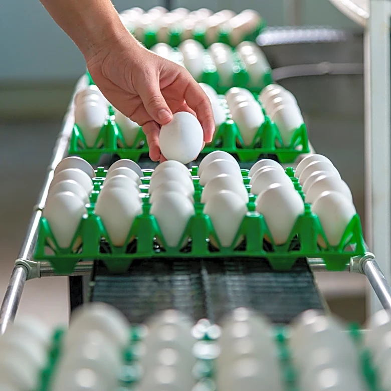 NY to receive nearly 5 million eggs after egg price-fixing settlement