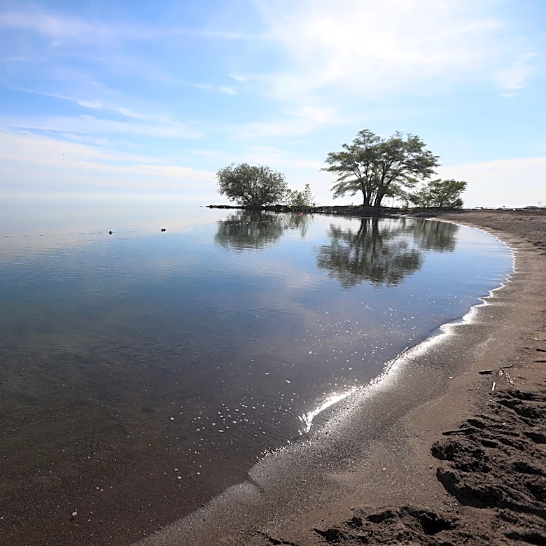 5 NY state park beaches closed to swimming; 1 under advisory