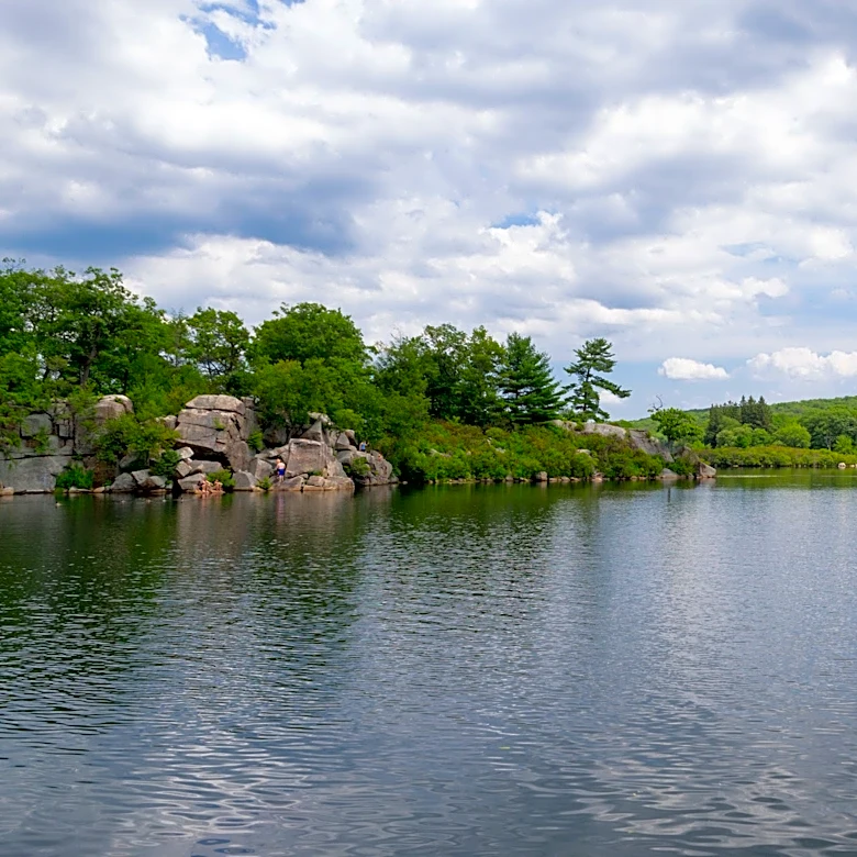 4 NY state beaches closed for swimming, including 2 for harmful algal blooms