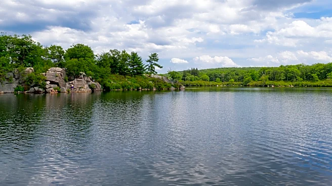 4 NY state beaches closed for swimming, including 2 for harmful algal blooms