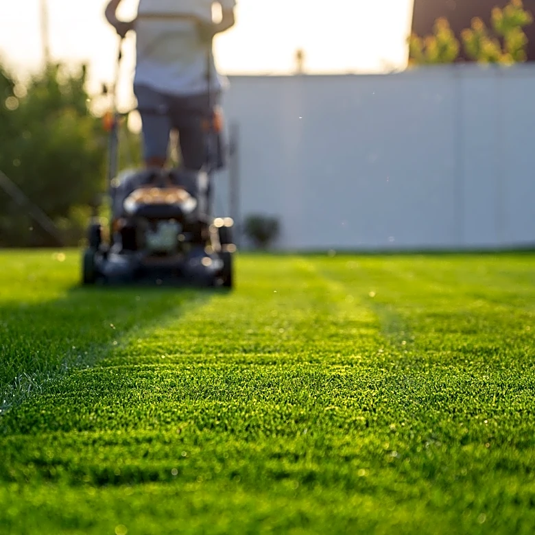 Are you mowing your lawn at the wrong time?