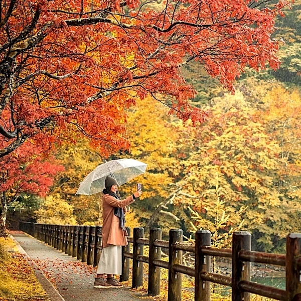 Why New York weather may stay warm this fall