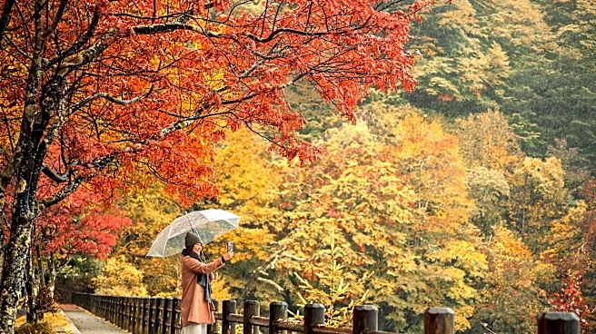 Why New York weather may stay warm this fall