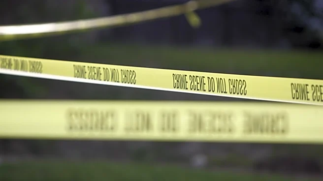 Rochester man identified after fatal Monroe Avenue rollover crash
