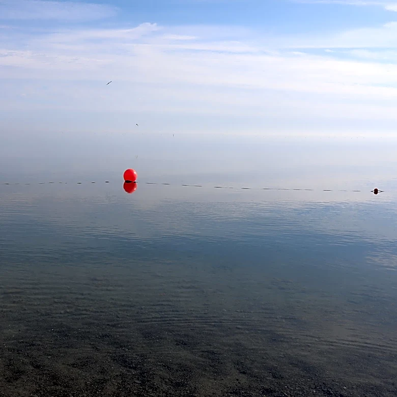 8 New York state beaches closed to swimming; 1 under advisory