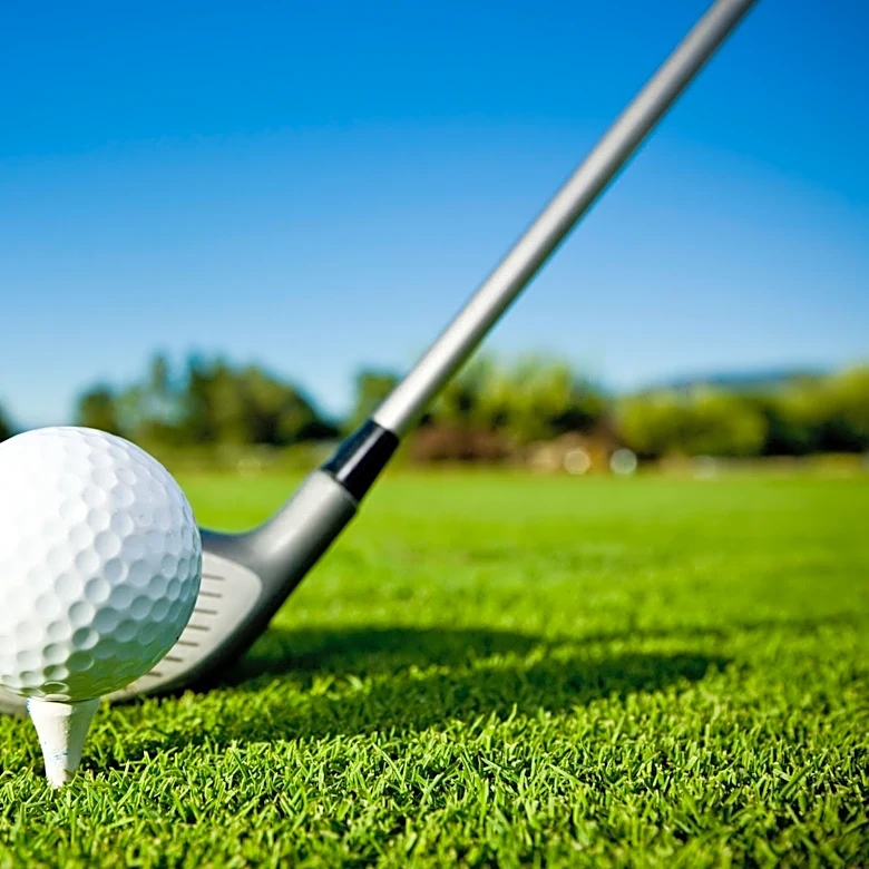 Section V boys golf results for fall 2026 season