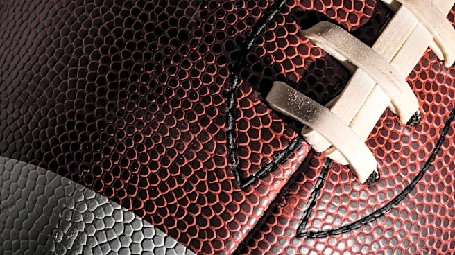 Vote: Who will be Section V’s best football player in Class D?