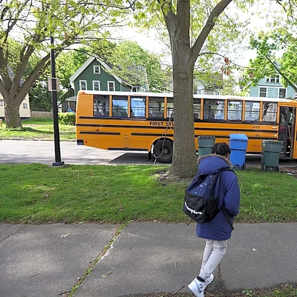 Do you have to stop for a school bus? Here's the law