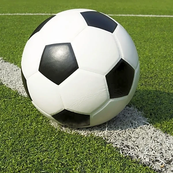 Section V boys soccer scores for 2026 season