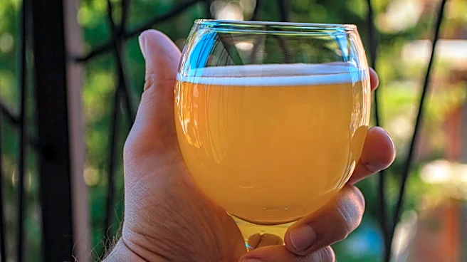 ‘Shark Tank’ beer Dad Strength now at Wegmans across New York