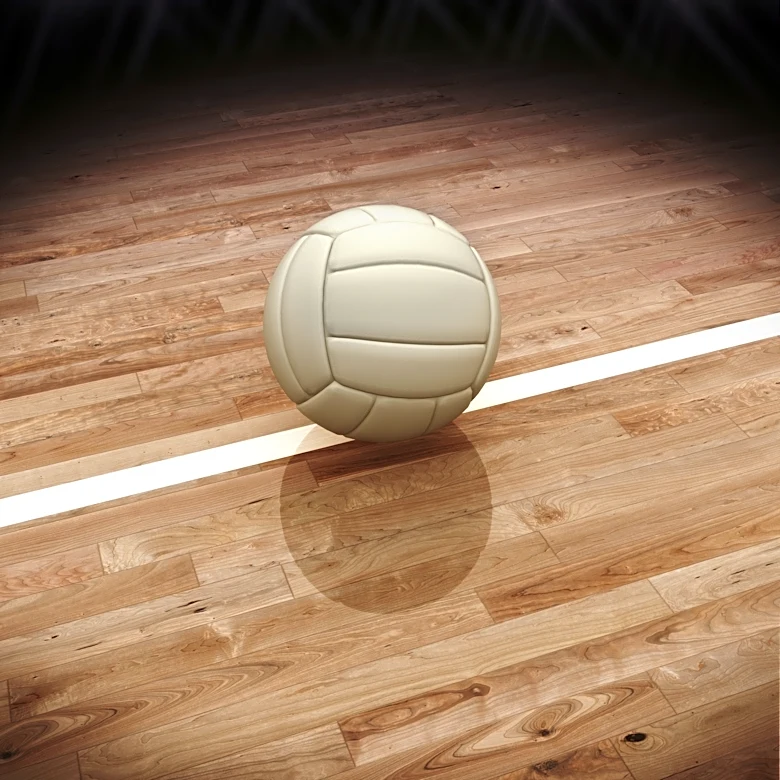 Section V boys volleyball scores for the 2026 season