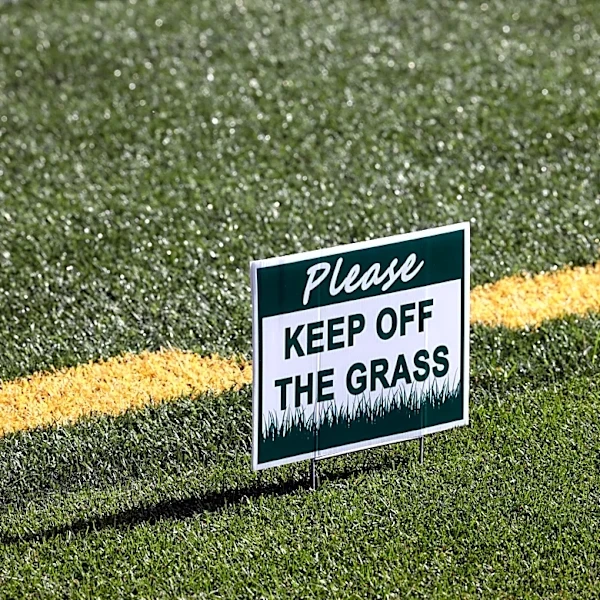 Why doesn't the Bills' new stadium have any grass? Here's what's happening