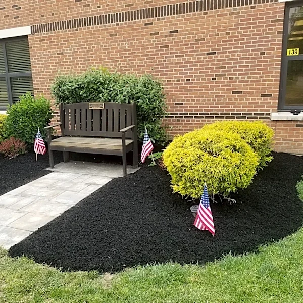 Where were you on 9/11? Rochester-area residents share memories