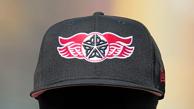 Red Wings lose sole possession of first after delayed defeat