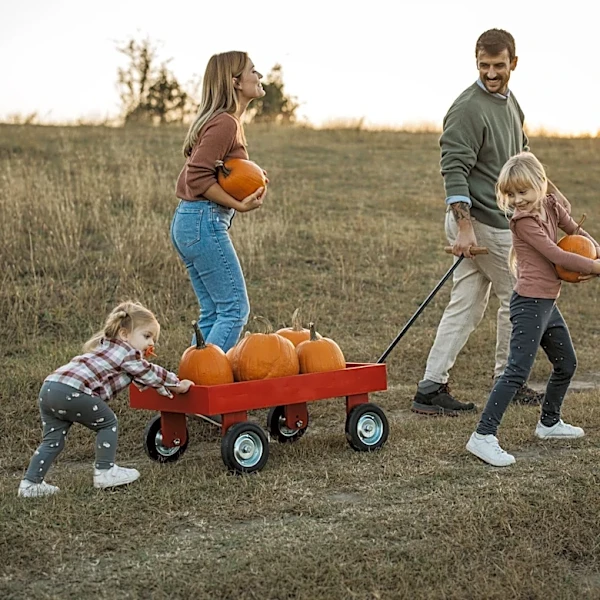 When does pumpkin picking start in New York? 15 places to visit this fall