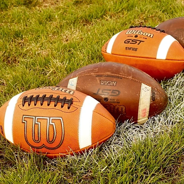 Avon RB scores 3 TDs on 3 carries: Section V's top players Saturday