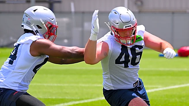 Bills add fullback to practice squad after opening season without one on roster