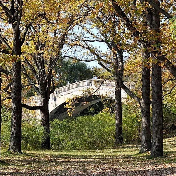 Restoration study launched for Genesee Valley Park bridges