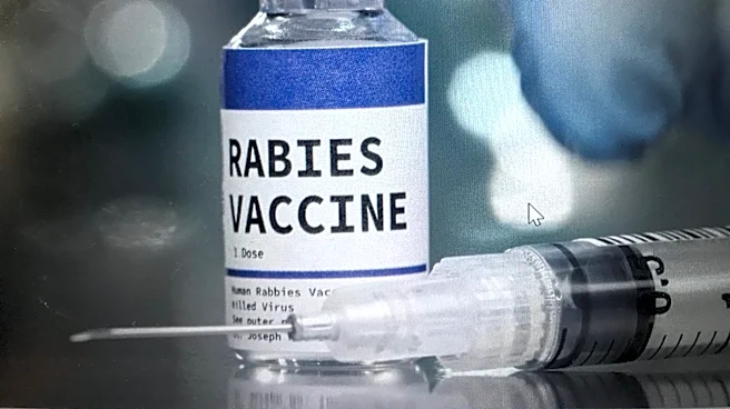 Cow tests positive for rabies at New York farm; 2 farmers receiving treatment