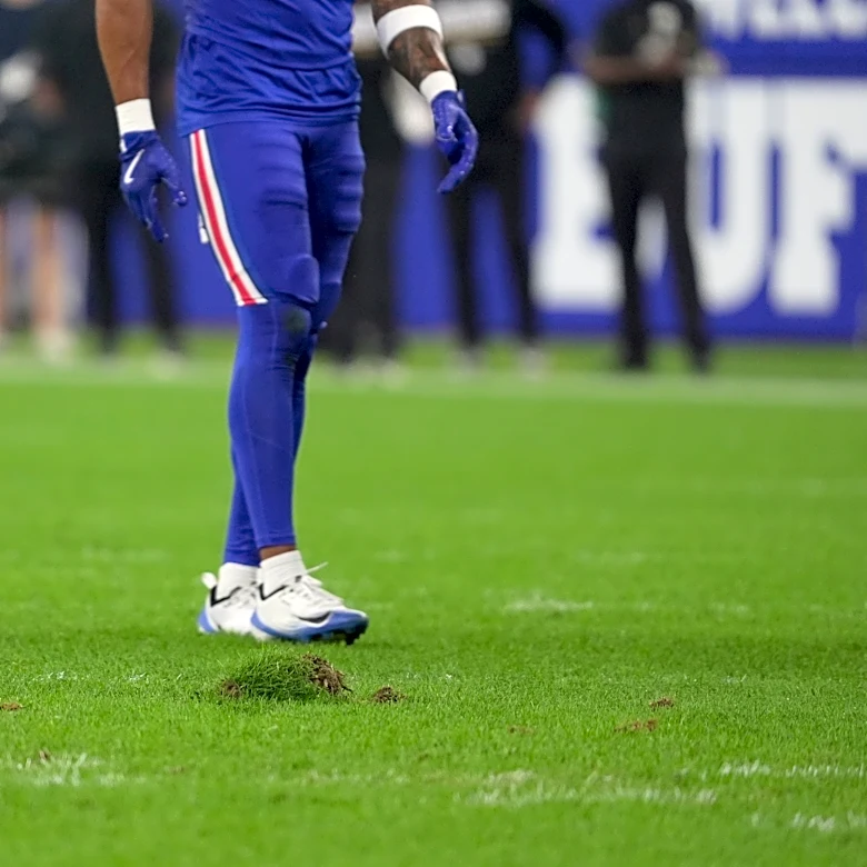 Is the Bills' new stadium grass or turf? Why they already replaced the field