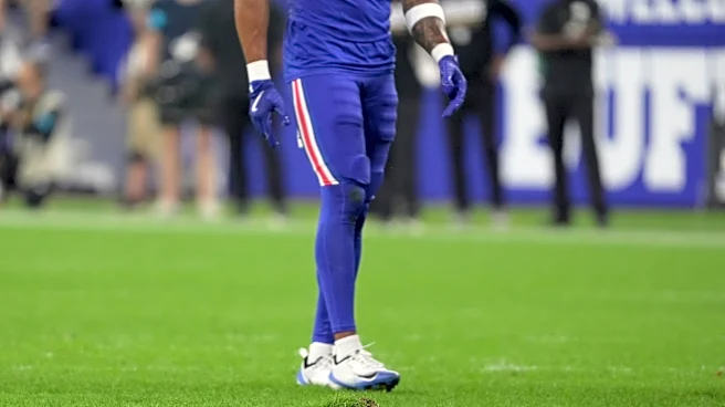 Is the Bills' new stadium grass or turf? Why they already replaced the field